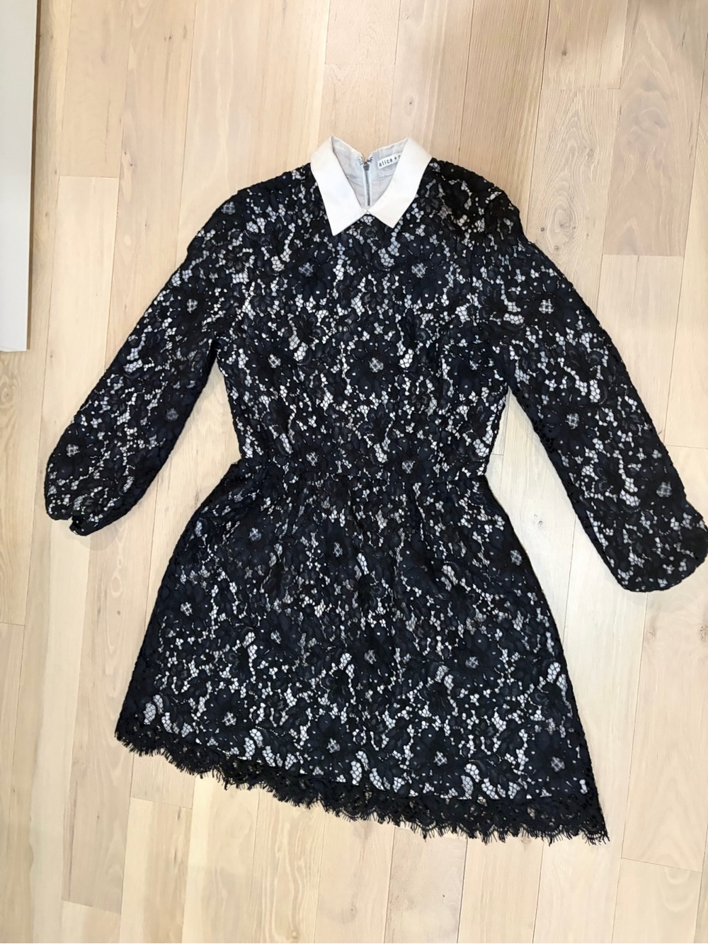 Alice + Olivia Terisa Fit & Flare Lace Dress in Black & White - Picture 2 of 4